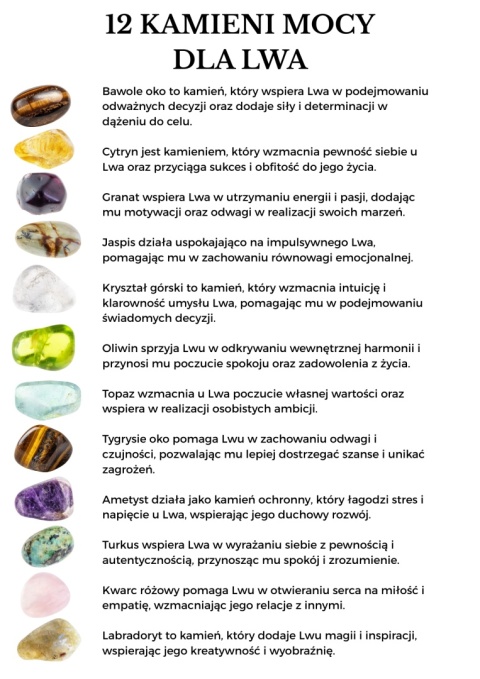 Bransoletka dla Lwa 12 KAMIENI MOCY