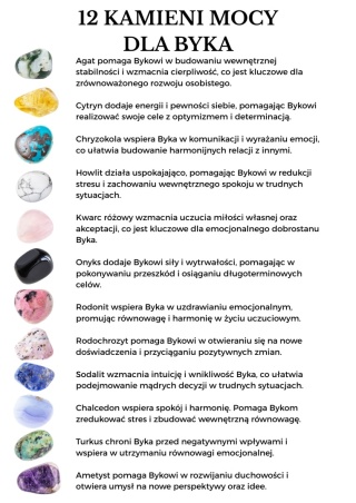 Naszyjnik dla Byka 12 KAMIENI MOCY