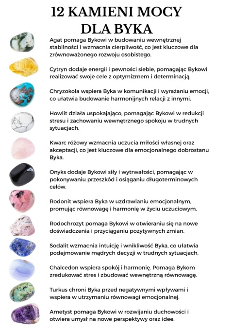 Bransoletka dla Byka 12 KAMIENI MOCY