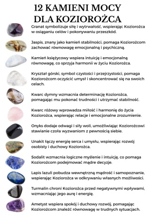 Bransoletka dla Koziorożca 12 KAMIENI MOCY