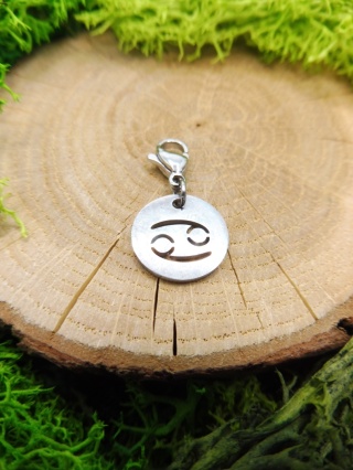 Zawieszka Rak Zodiakalna do Bransoletki ze Stal Silver